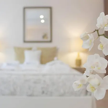 Apartment Oliveiras Charming Downtown